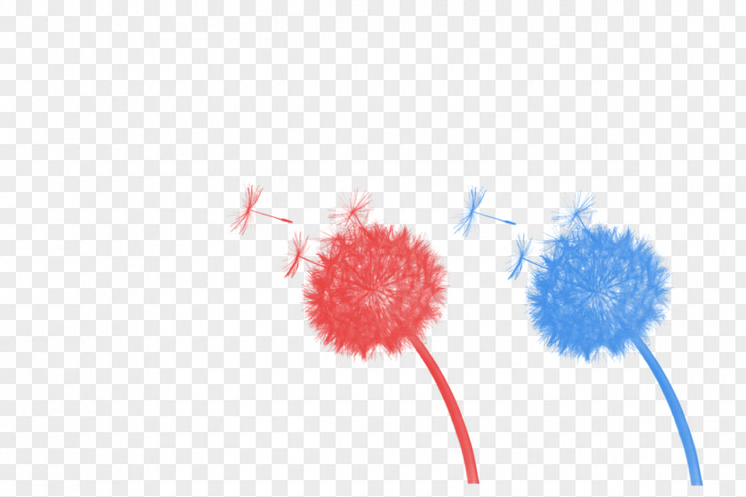 Hand-painted Dandelion Download Computer Wallpaper PNG