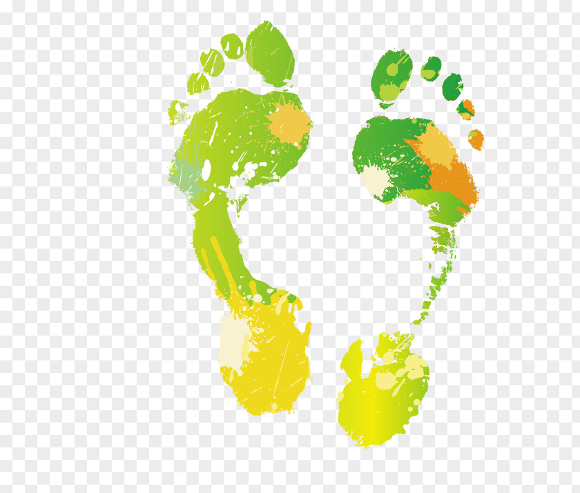 Color Footprints Footprint PNG