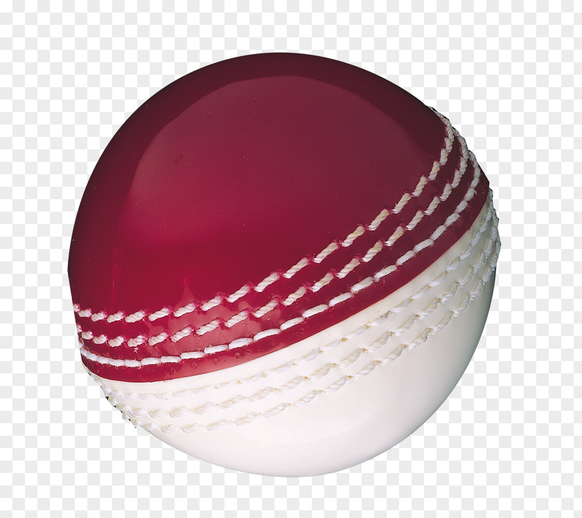 Cricket Balls Gunn & Moore Skills Ball PNG