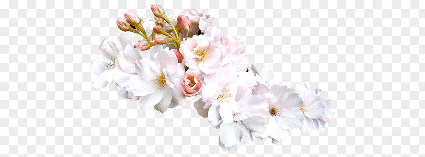 Floral Design Flower Preview PNG