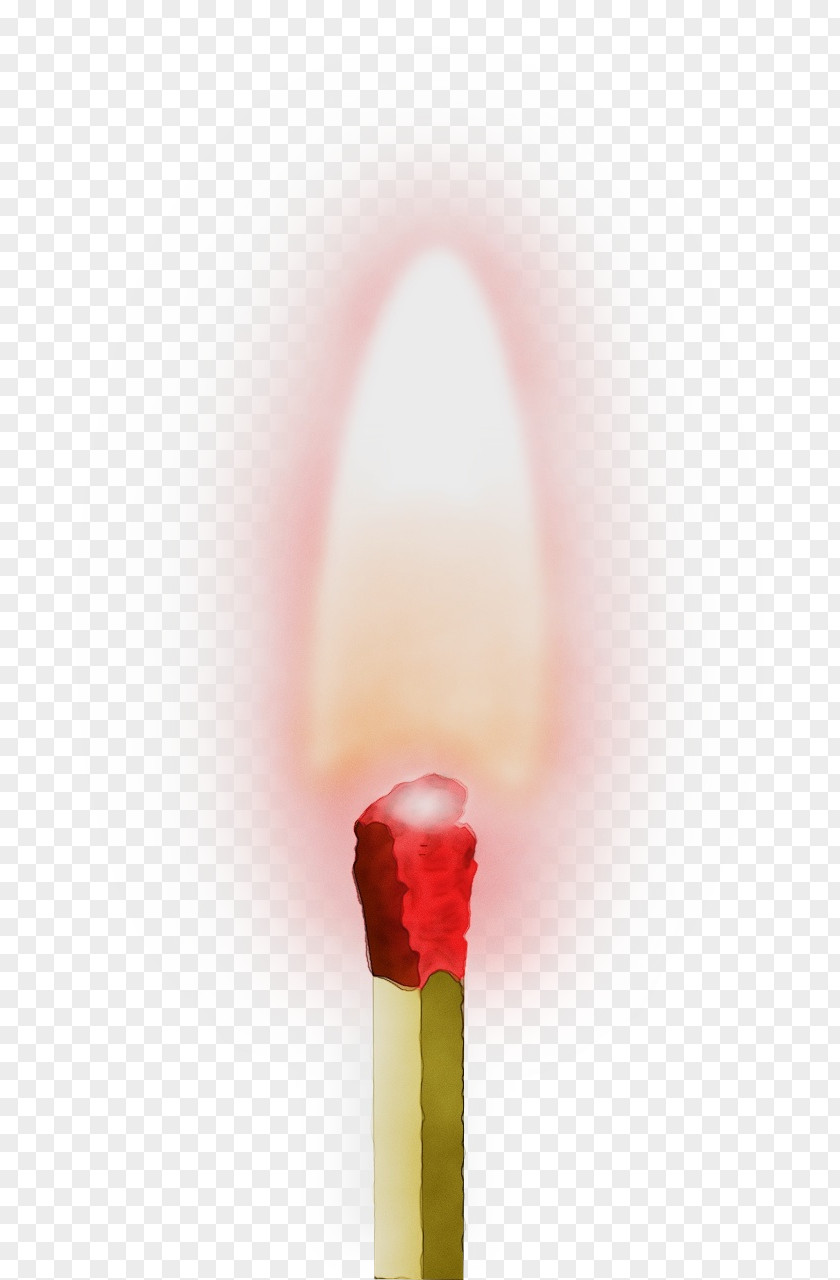 Flower Candle Match Ice Pop Plant PNG