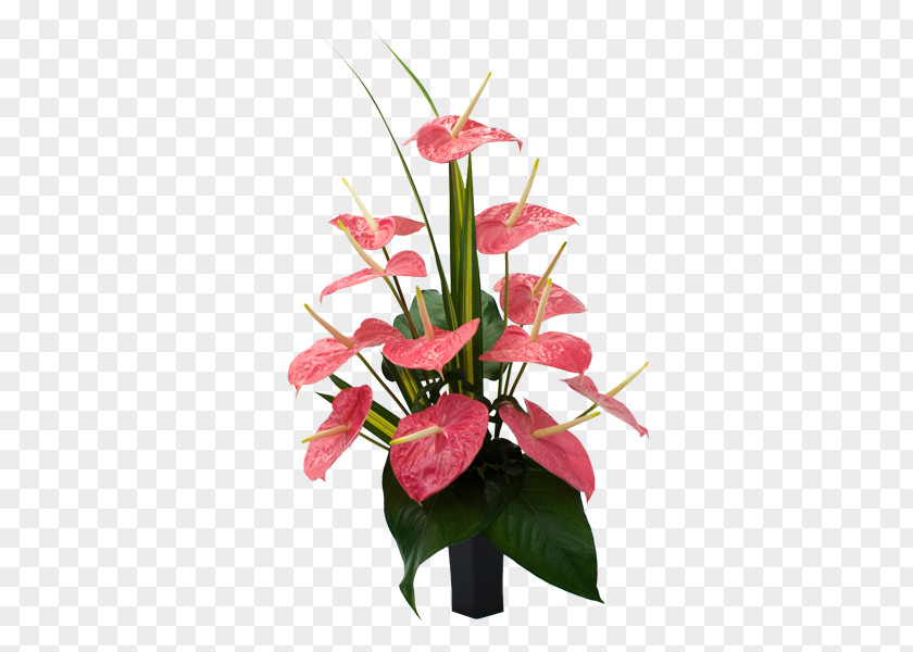 Hawaiian Hawaii Laceleaf Cut Flowers Bird Of Paradise Flower PNG