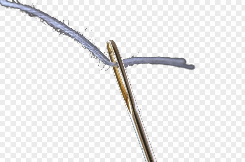 Needle Lead Download Icon PNG