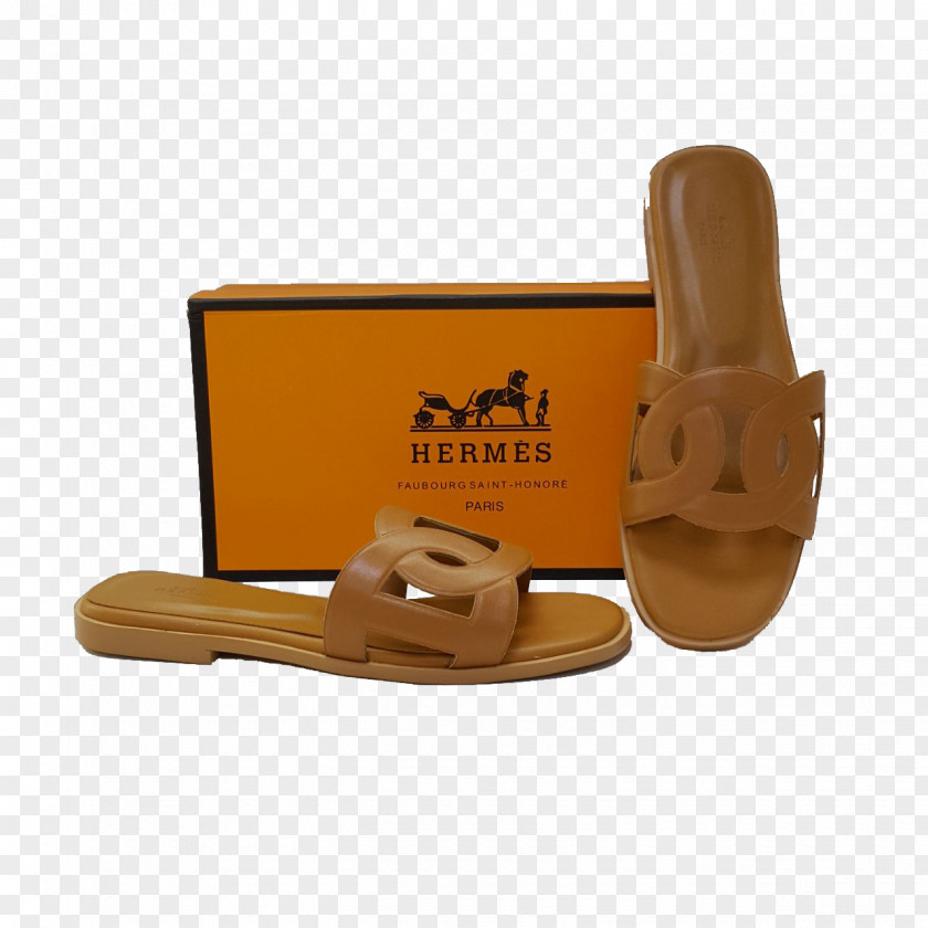 Sandal Shoe PNG