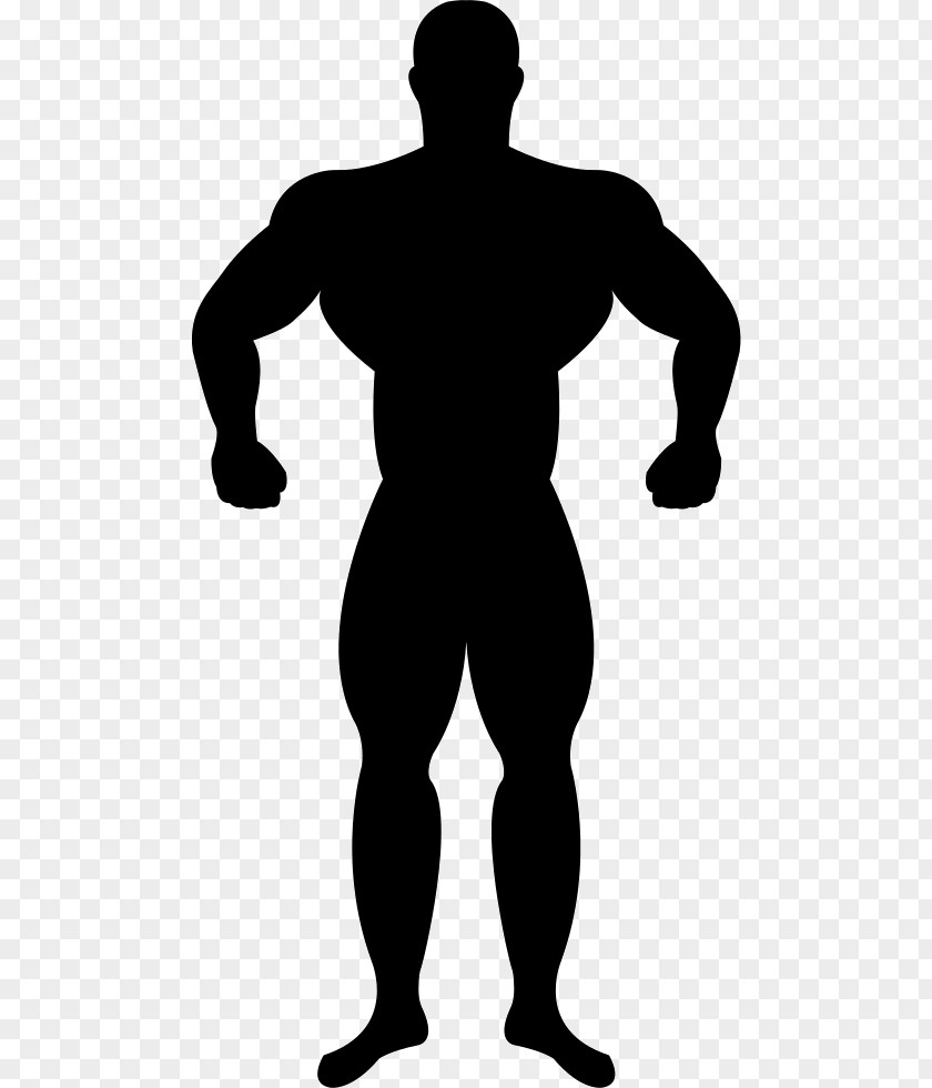 Silhouette Muscle Bodybuilding PNG