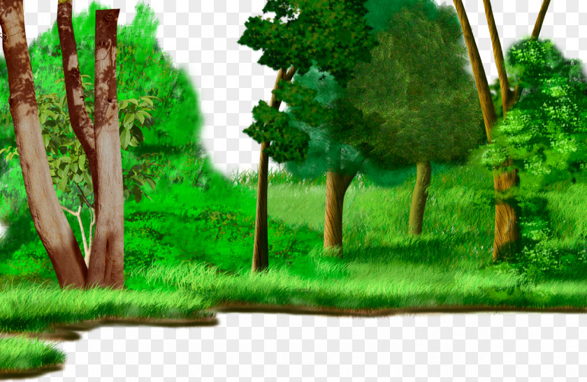 Cartoon Painted Grassland Forest Plants Drawing Animation Watercolor Painting PNG
