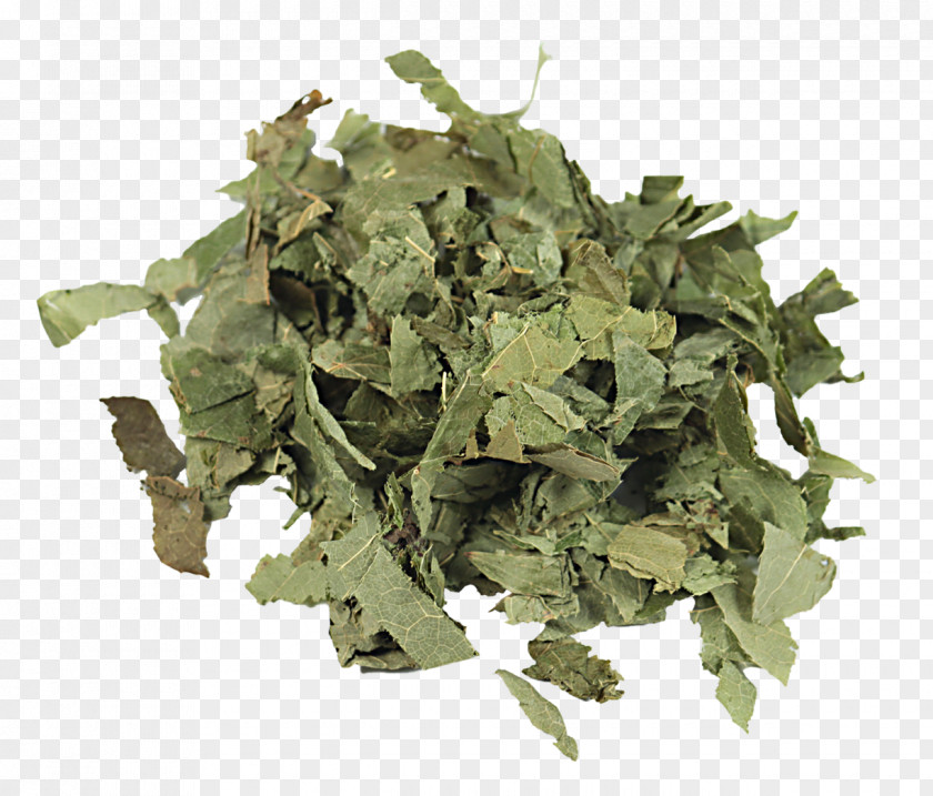 European Classical Leaf Vegetable Collard Greens Spring Bancha Rapini PNG