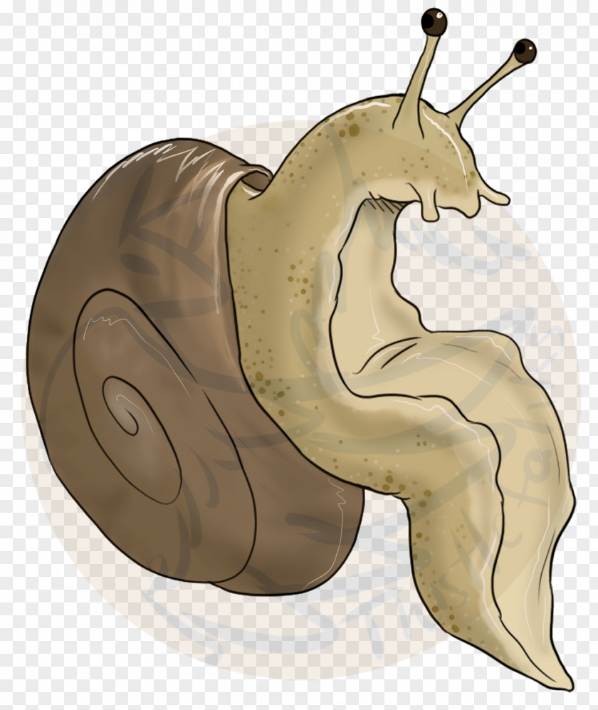 Fictional Character Molluscs Snail Cartoon PNG