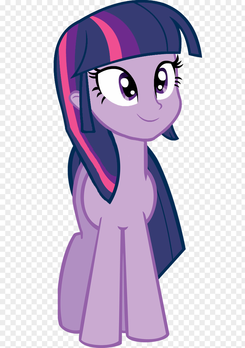 Purplebellied Lory Twilight Sparkle Rainbow Dash Pinkie Pie Rarity Applejack PNG