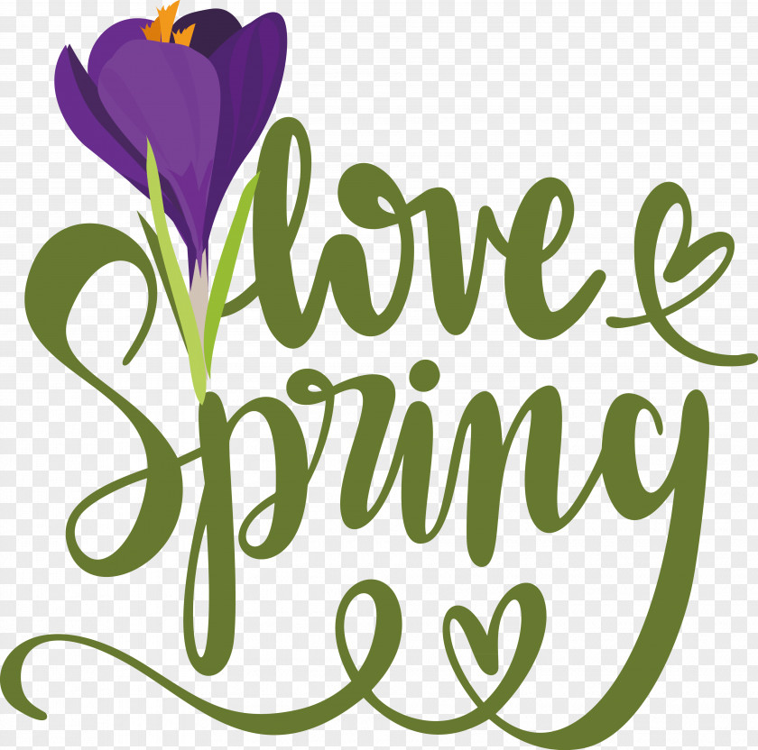 Word Art Text Drawing Spring Line Art PNG