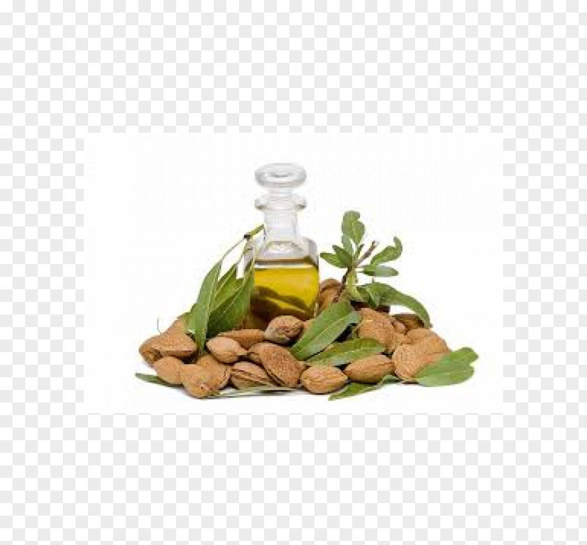 Almond Oil Glass Bottle Herbalism Vegetable Alternative Health Services Soybean PNG