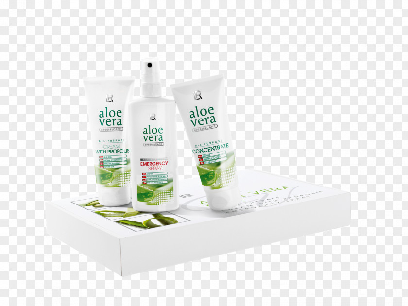 Aloe Vera Skin Care Burn LR Health & Beauty Systems PNG