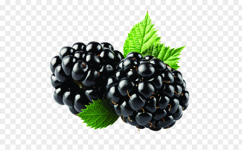 Blackberry Smoothie Organic Food Milk PNG