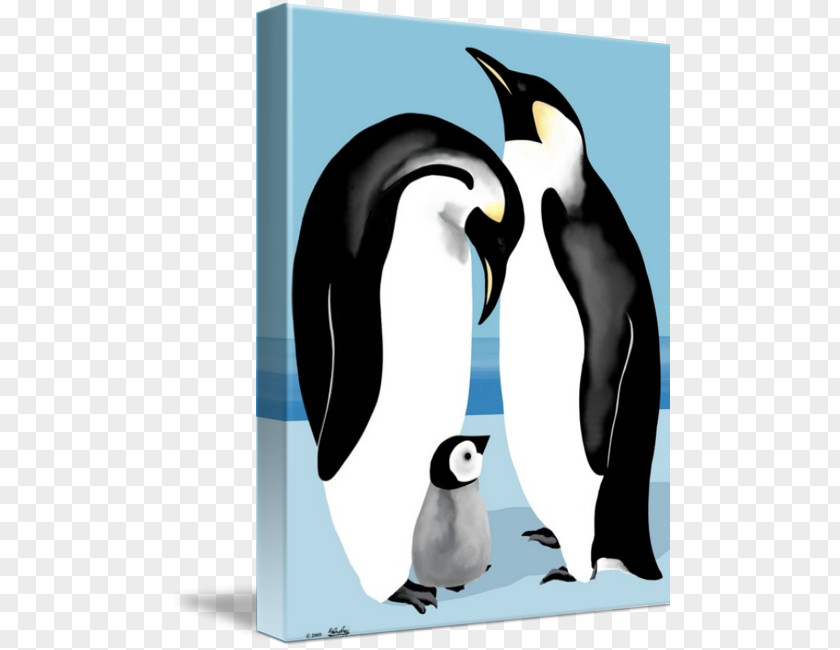 Emperor Cliparts Penguin Blanket Bird Clip Art PNG