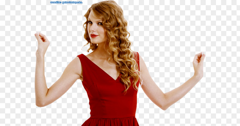 Taylor Swift The Red Tour Speak Now Song PNG