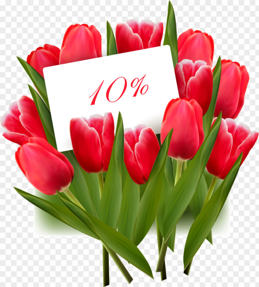 Tulip Clip Art PNG