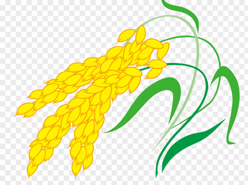 Vector Wheat Euclidean Clip Art PNG