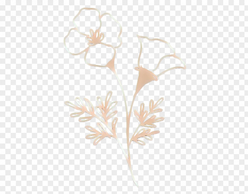 Wildflower Beige Bubbles Drawing PNG