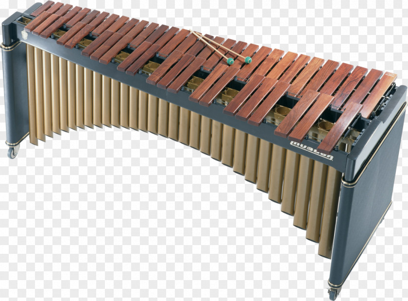 Xylophone Musical Instruments Marimba PNG