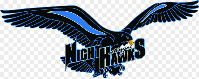 8th March Nighthawks KNDC Hettinger Public Elementary Scranton PNG