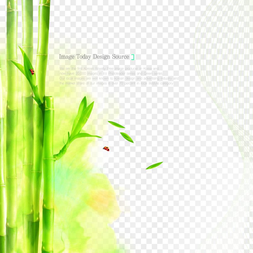 Cosmetics Poster Bamboo Background Material Graphic Design PNG