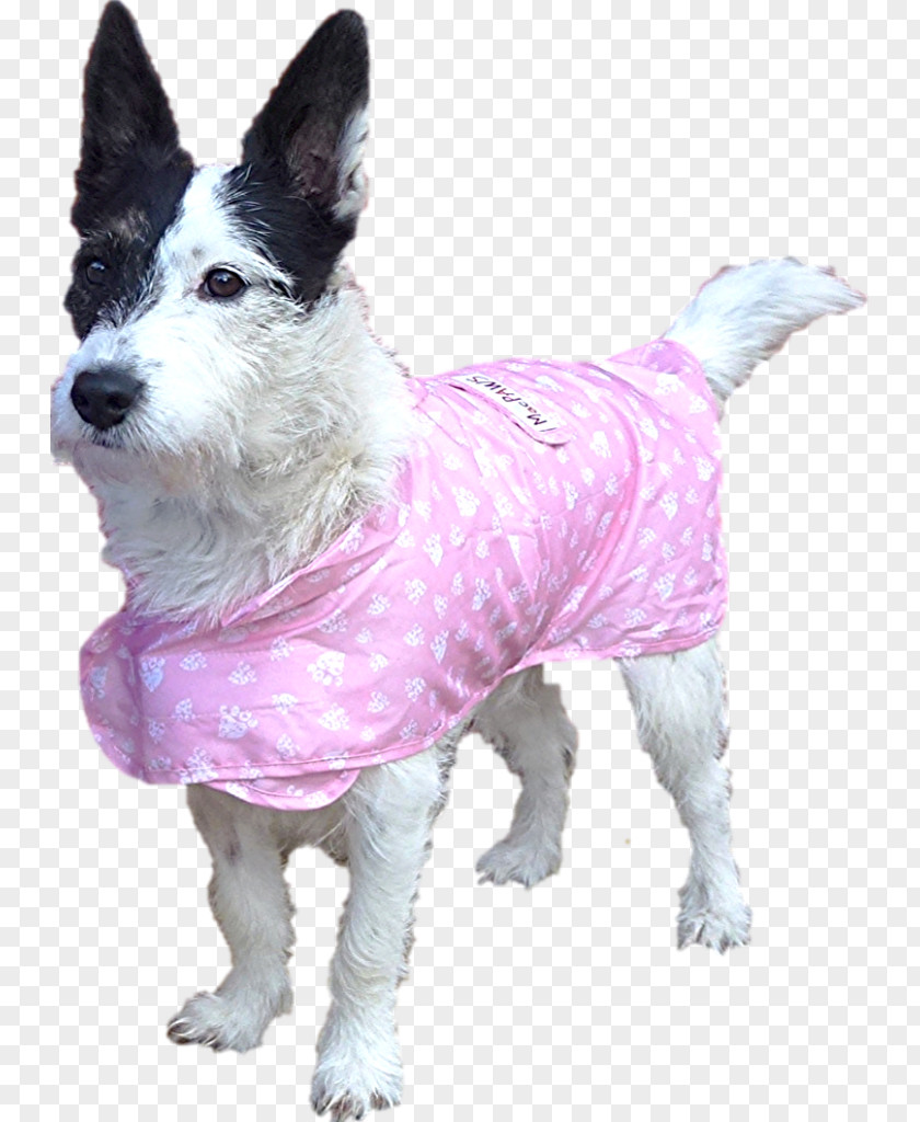Dog Breed Raincoat Pet PNG