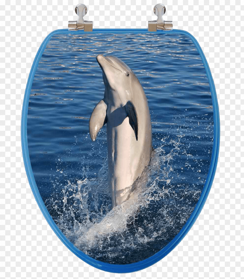 Jumping Dolphins Toilet & Bidet Seats Seat Cover Toto Ltd. PNG