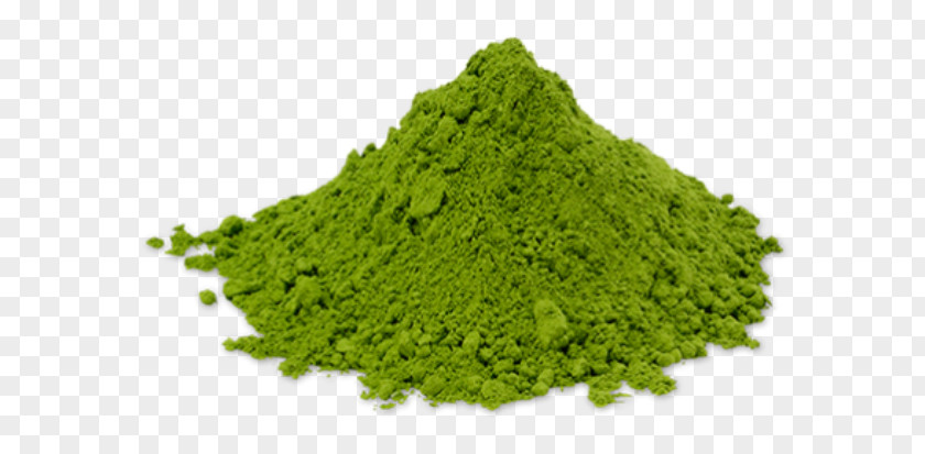 Tea Matcha Drumstick Tree Powder Dietary Supplement PNG