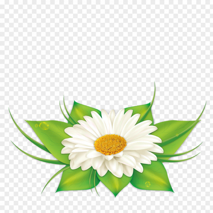 Vector Decoration Chrysanthemum Earth Euclidean PNG