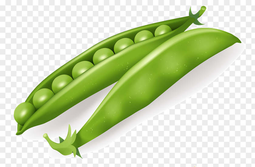 Vq Leaf Vegetable Pea PNG