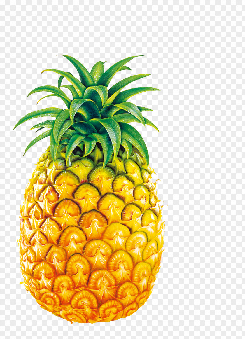 Big Pineapple Juice Fruit Bromelain Clip Art PNG