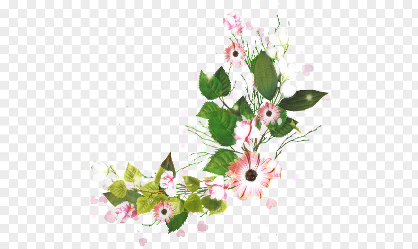 Floral Design Image Flower Hoa People Illustration PNG