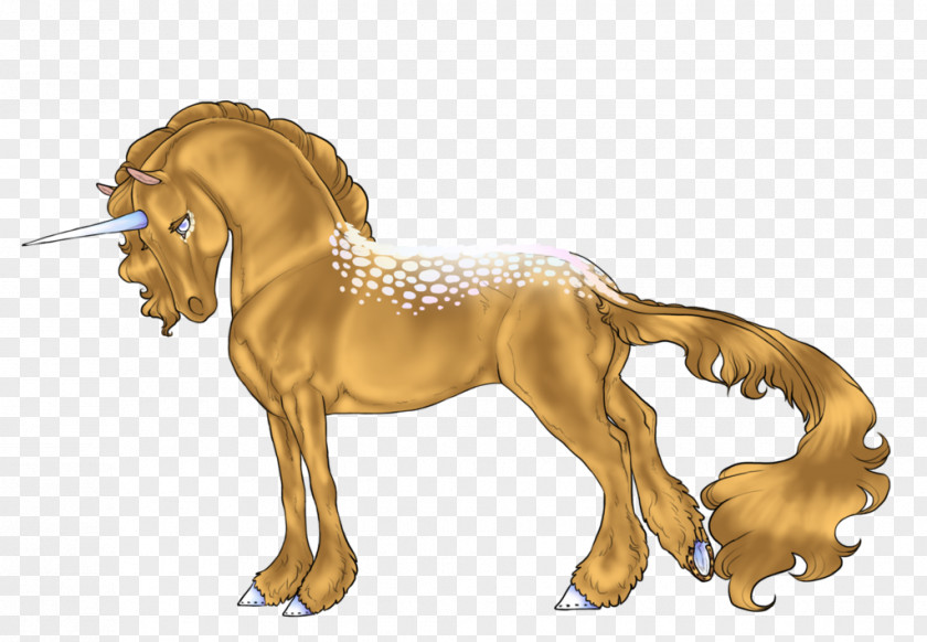 Lion Stallion Appaloosa Mane Mustang PNG