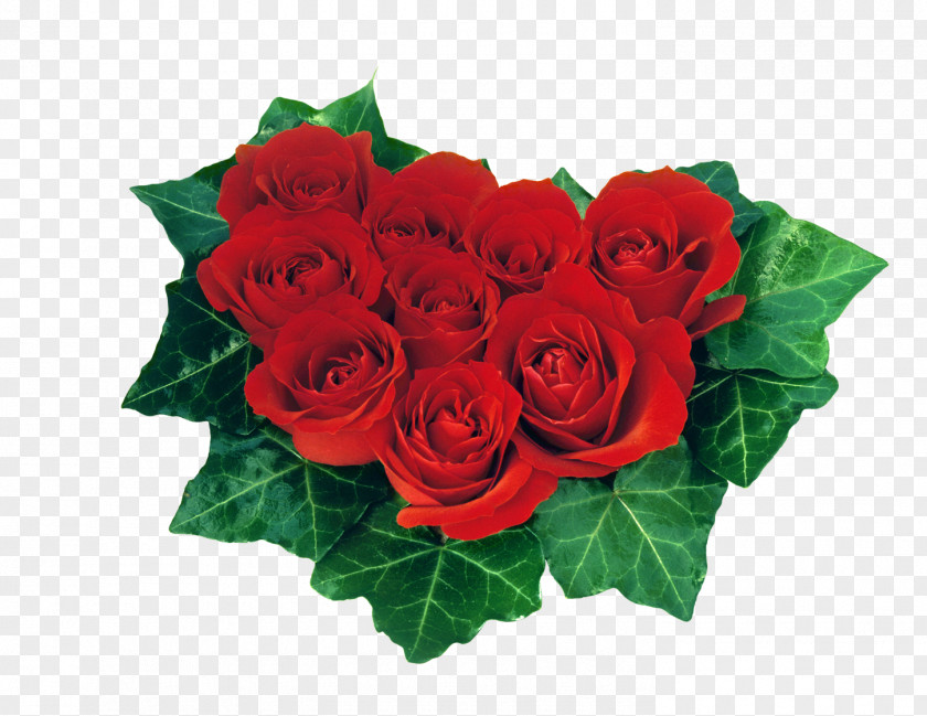 Rose Heart Valentine's Day Red Desktop Wallpaper PNG
