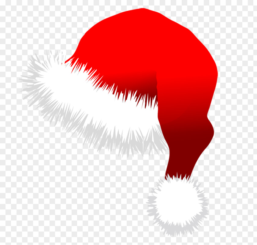 Santa Claus Christmas Hat Clip Art PNG
