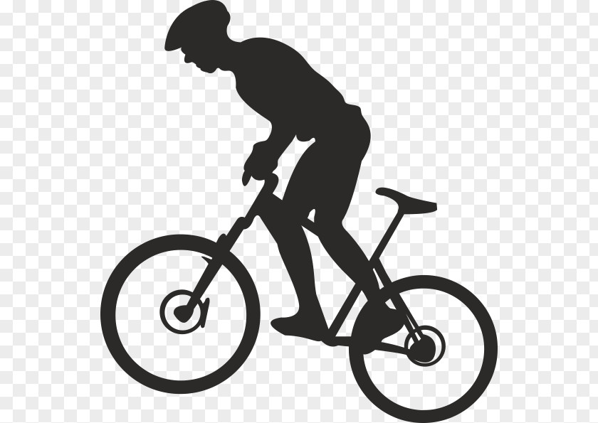 Bicycle Cycling Vector Graphics Mountain Bike Biking PNG