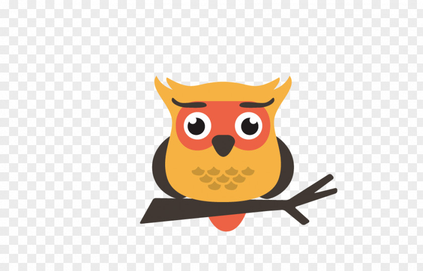 Cartoon Owl PNG