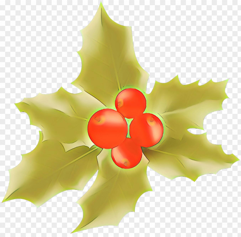 Flower Petal Holly PNG