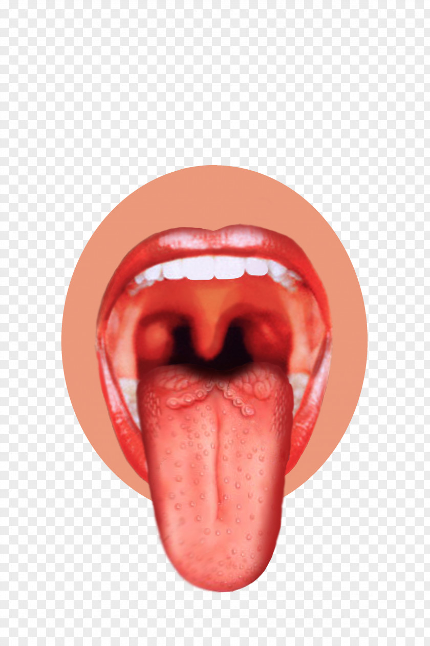 Tongue Sense Sensory Nervous System Taste Bud Human Mouth PNG