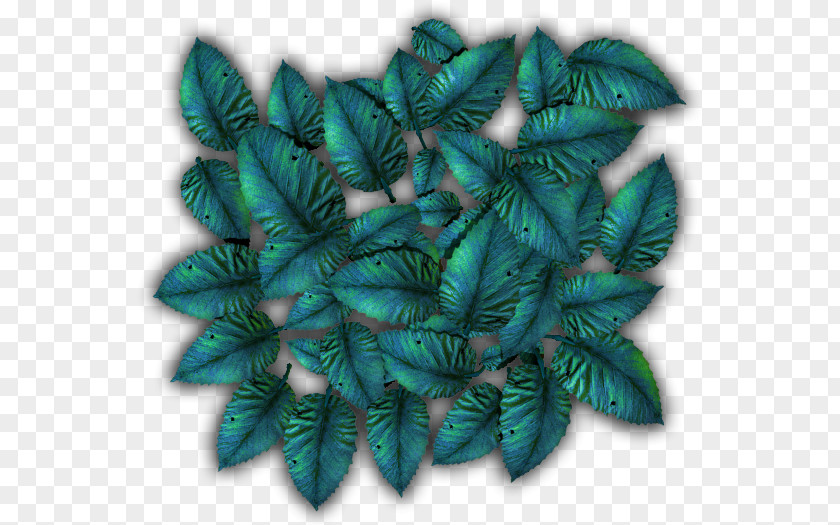 Tropical Plants Turquoise Leaf PNG