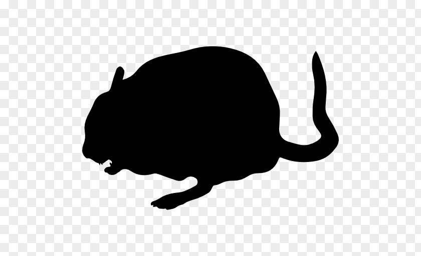 Cat Whiskers Chinchilla Clip Art PNG
