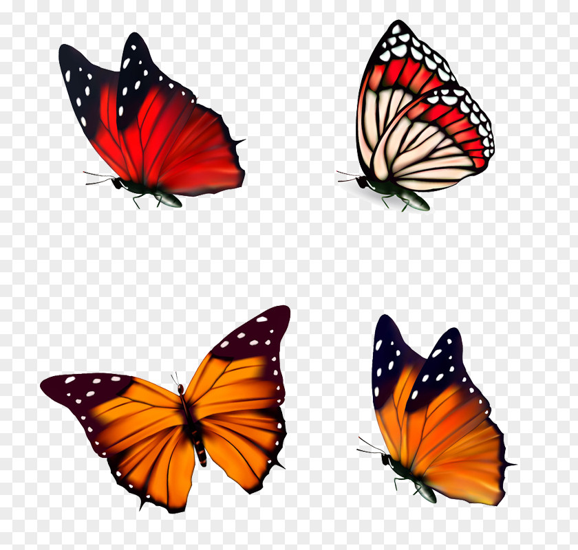 Floating Butterfly Poster Illustration PNG