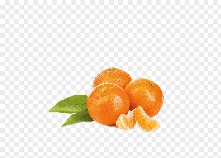 Lemon Clementine Bavarian Cream Mandarin Orange Fruit PNG