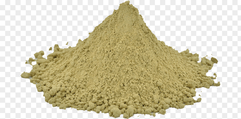 Powder Celery Salt Plant PNG