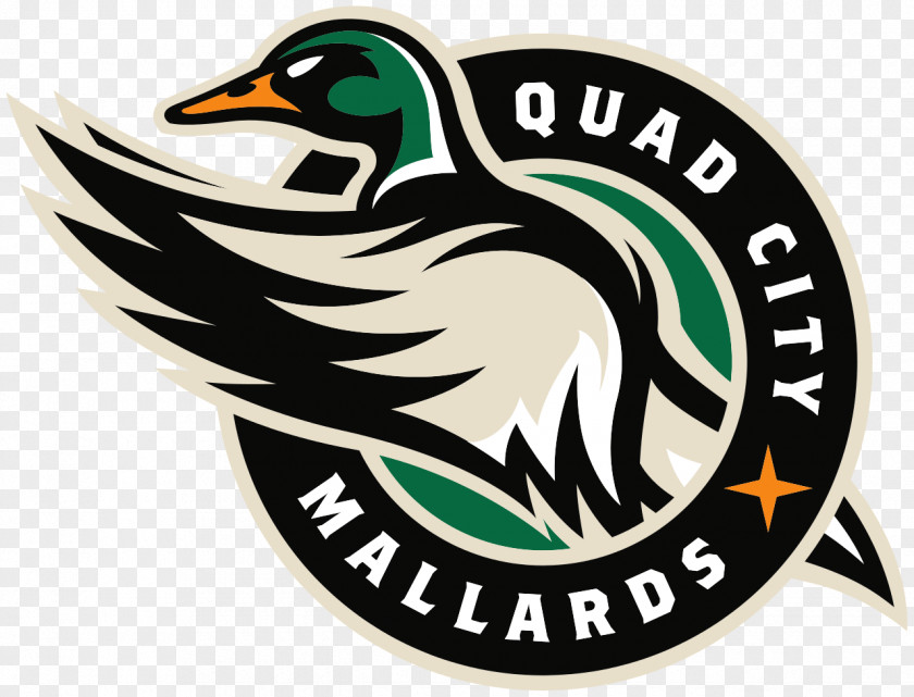 Quad City Mallards Logo PNG Logo, logo illustration clipart PNG