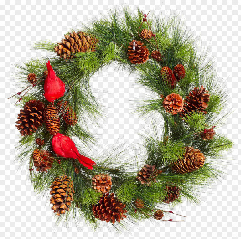 Real Christmas Pinecone Grass Ring PNG