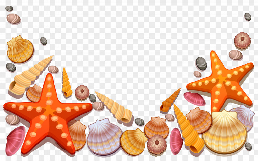 Seashell Starfish Beach Clip Art PNG