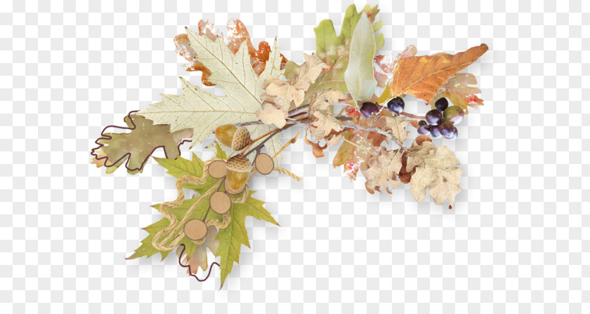 Autumn Maple Decorative Material Clip Art PNG