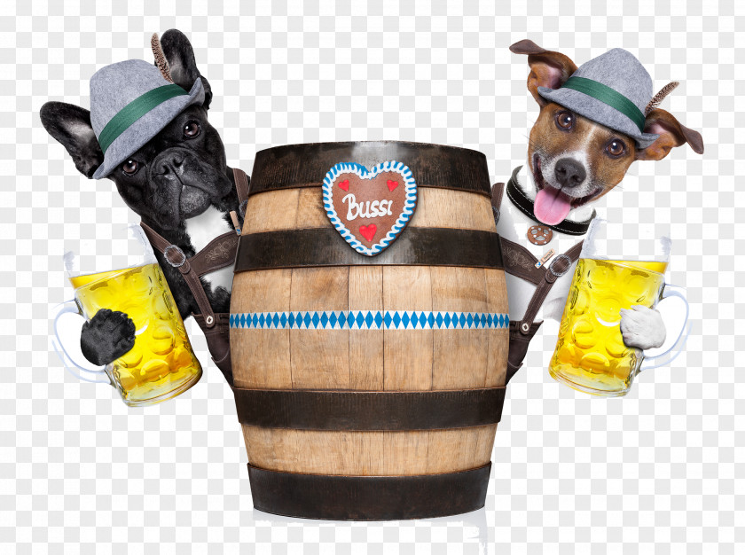 Beer Mug Oktoberfest Bavaria Dog Stock Photography PNG