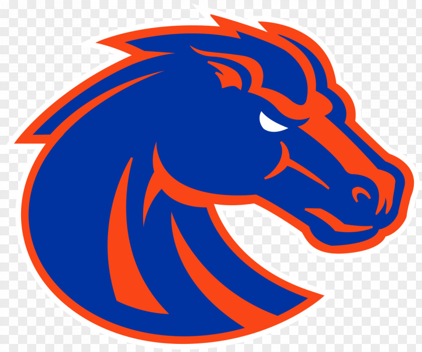 Denver Broncos Albertsons Stadium Boise State Men's Basketball Football Sport Division I (NCAA) PNG